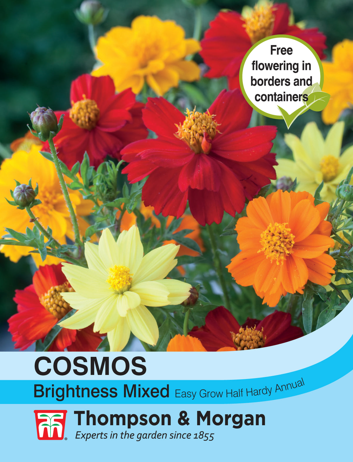 Cosmos Brightness Mixed- Pack of seeds