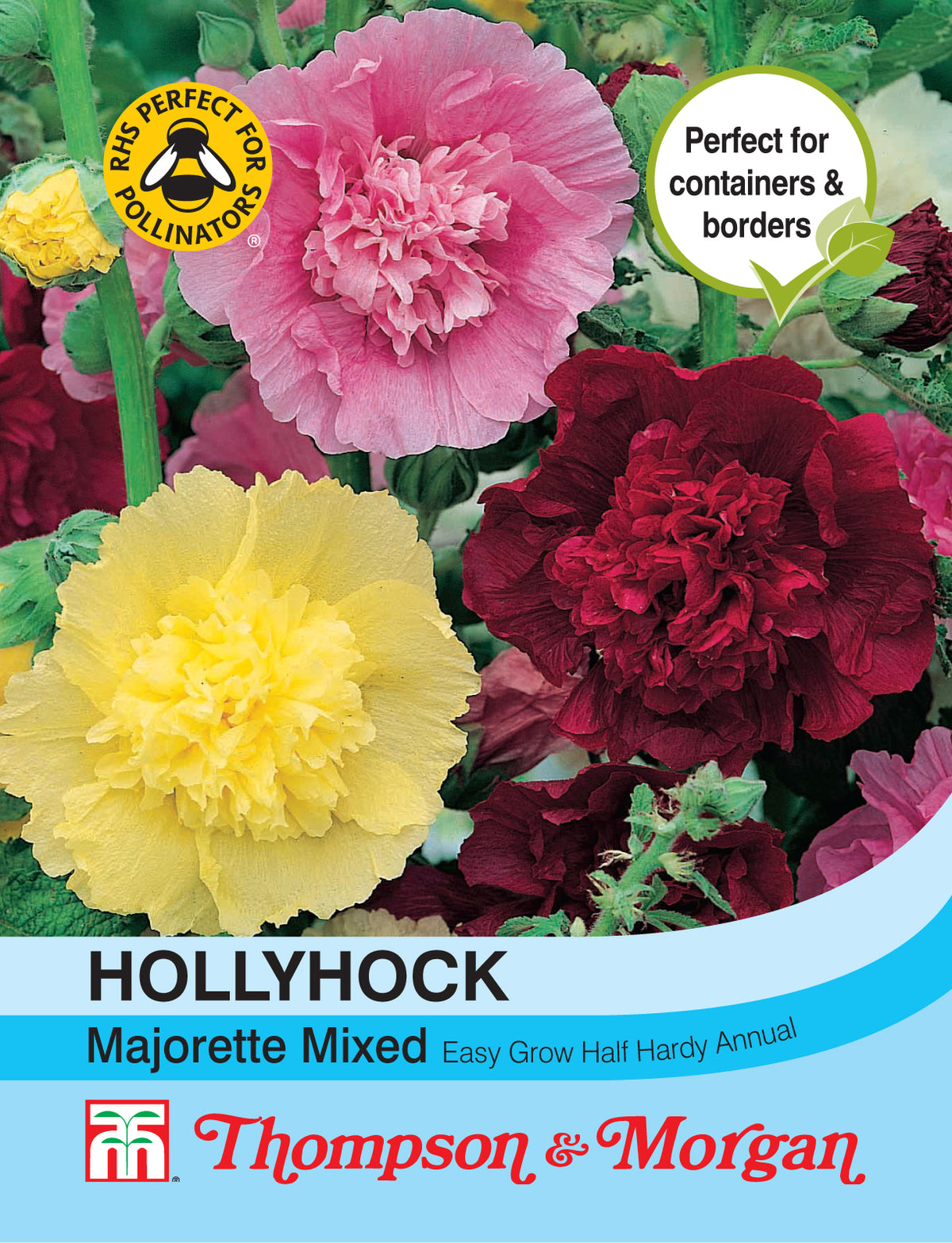 Hollyhock Majorette Mixed- Pack of seeds