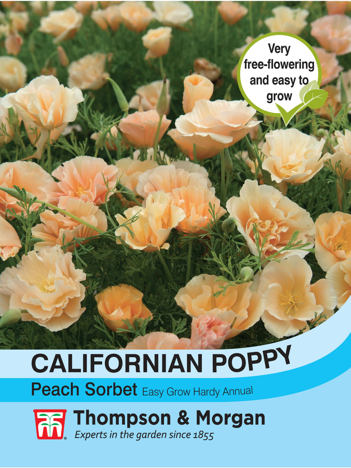 Californian Poppy Peach Sorbet- Pack of seeds