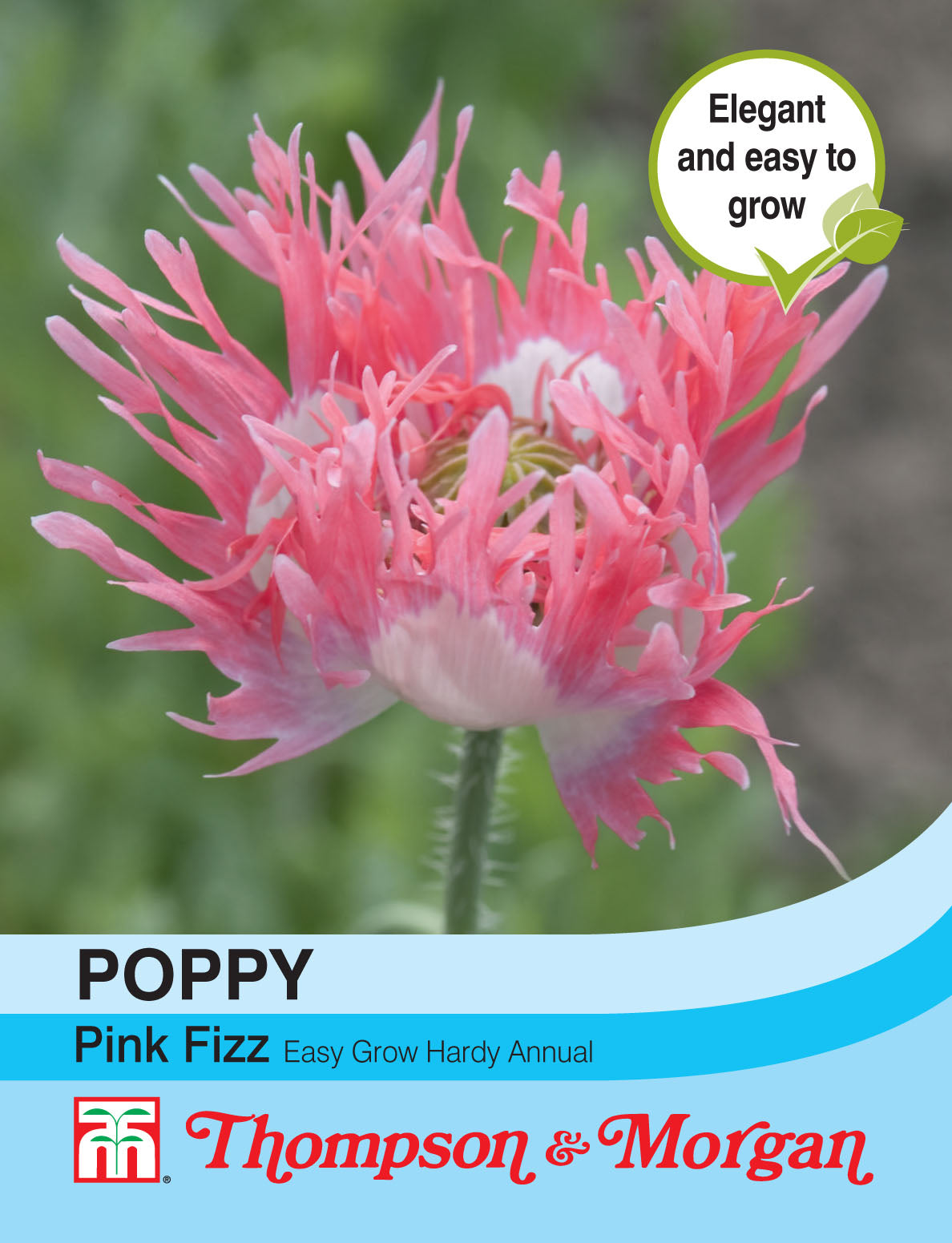 Poppy Pink Fizz- Pack of seeds