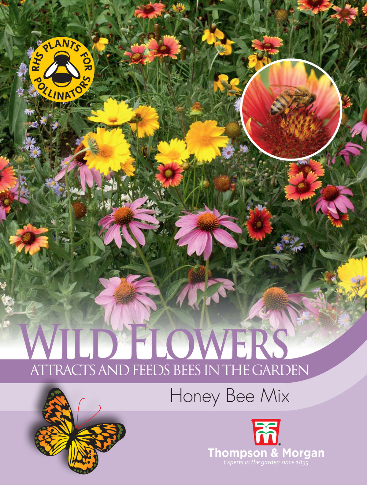 Wild Flower Honey Bee Flower Mix- Pack of seeds