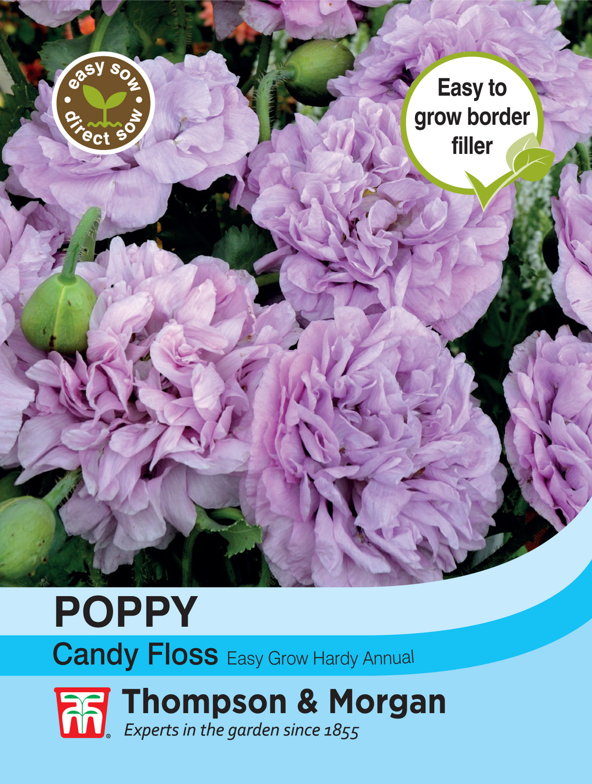 Poppy Candy Floss- Pack of seeds