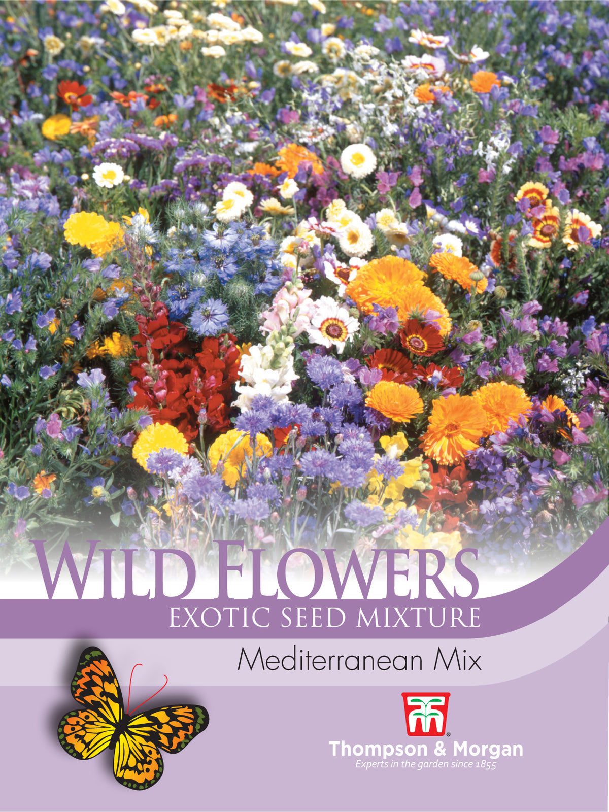 Wild Flower Mediterranean Mix- Pack of seeds