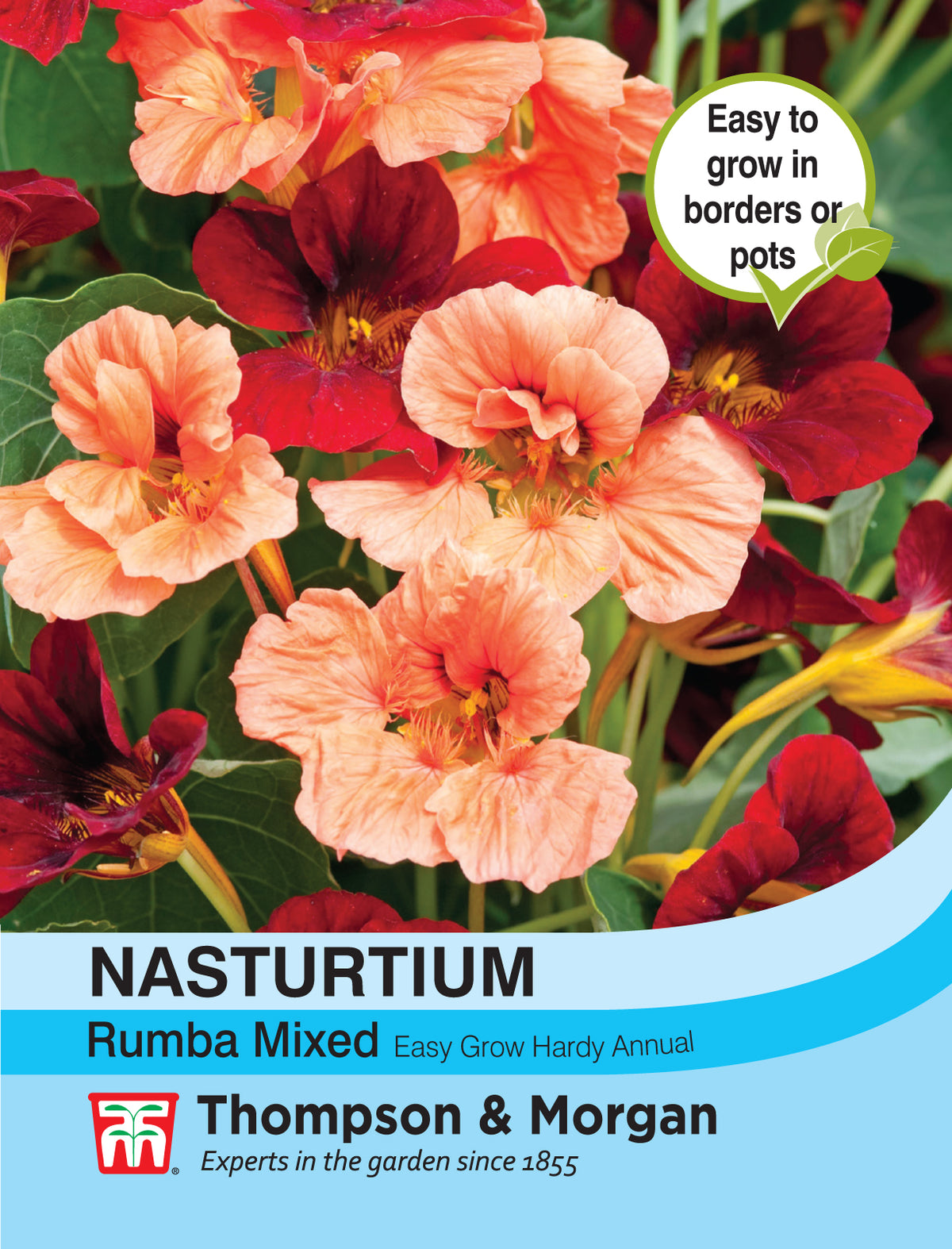 Nasturtium Rumba Mixed- Pack of seeds