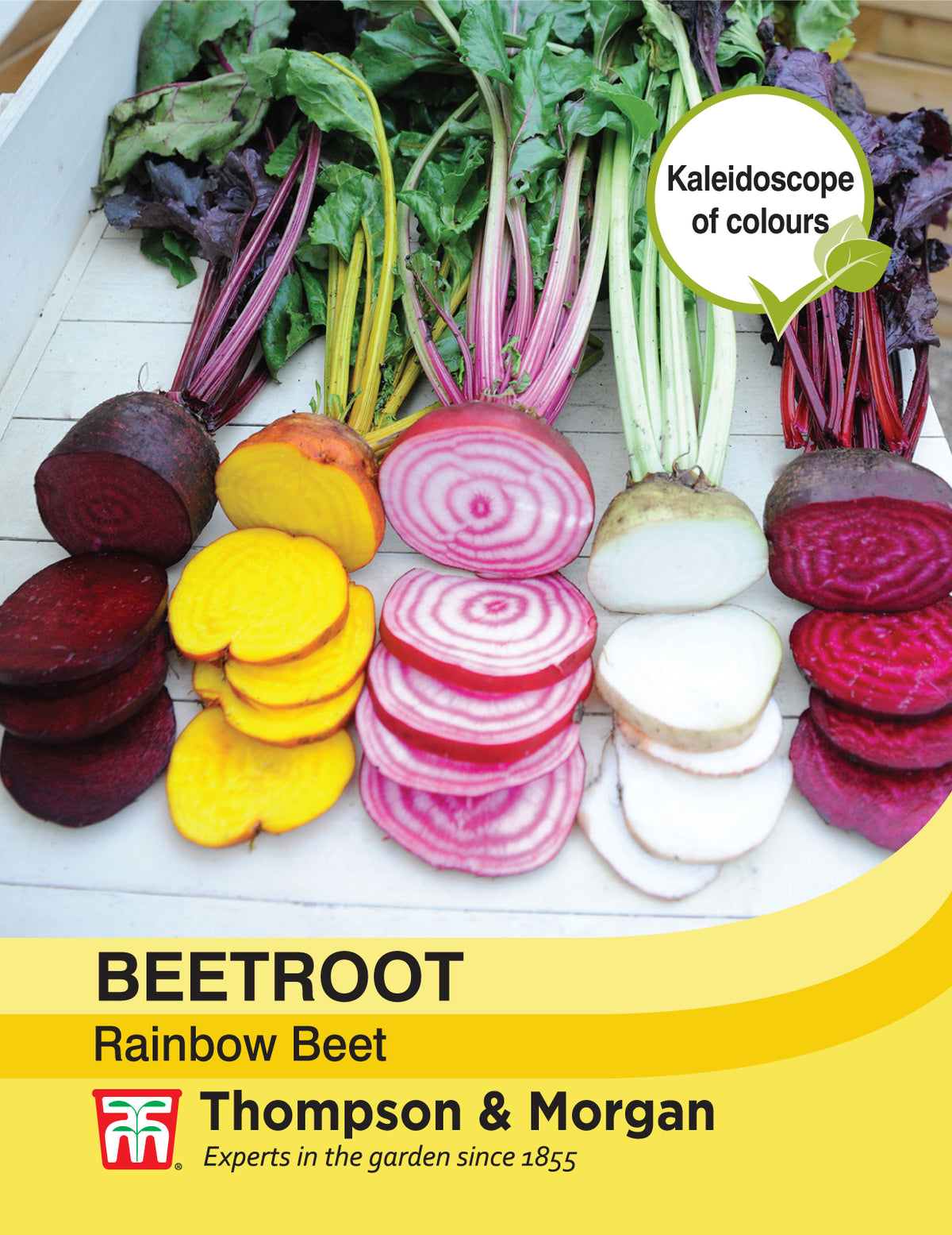 Beetroot Rainbow Beet- Pack of seeds