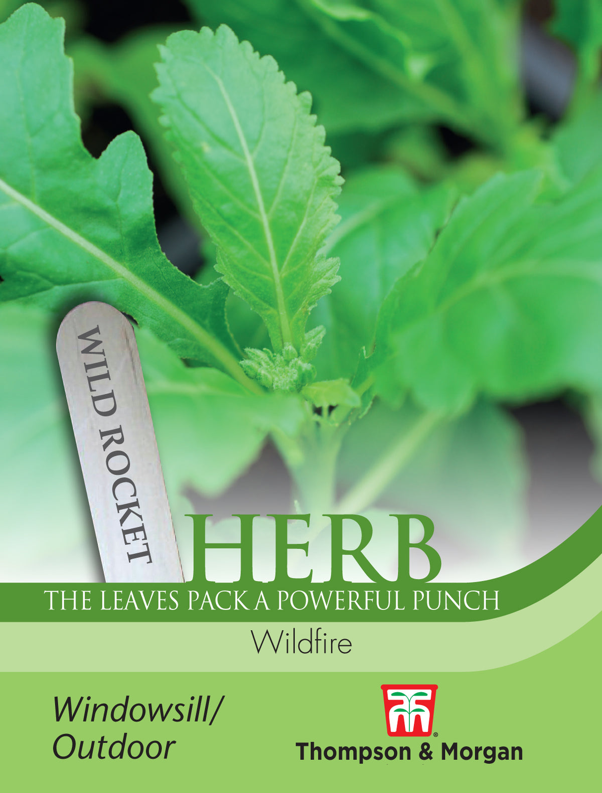 Herb Wild Rocket Wildfire- Pack of seeds