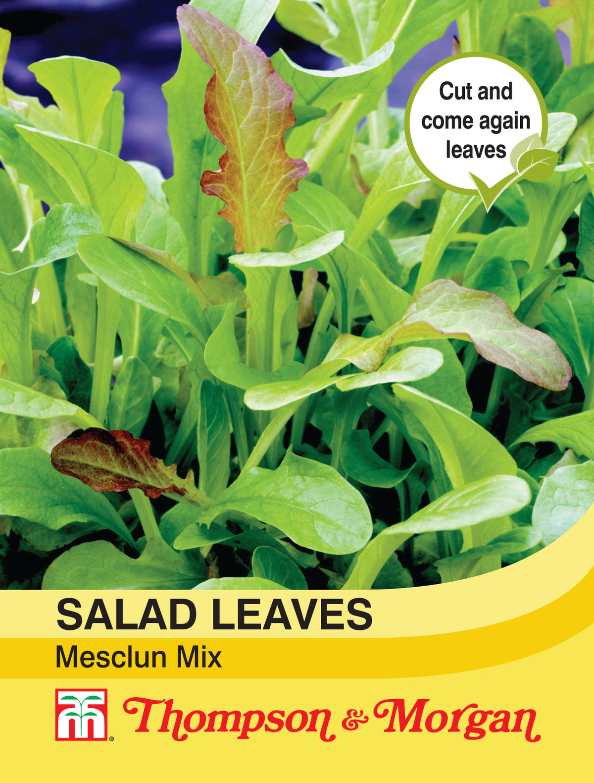Salad Leaves - Mesclun Mixed- Pack of seeds
