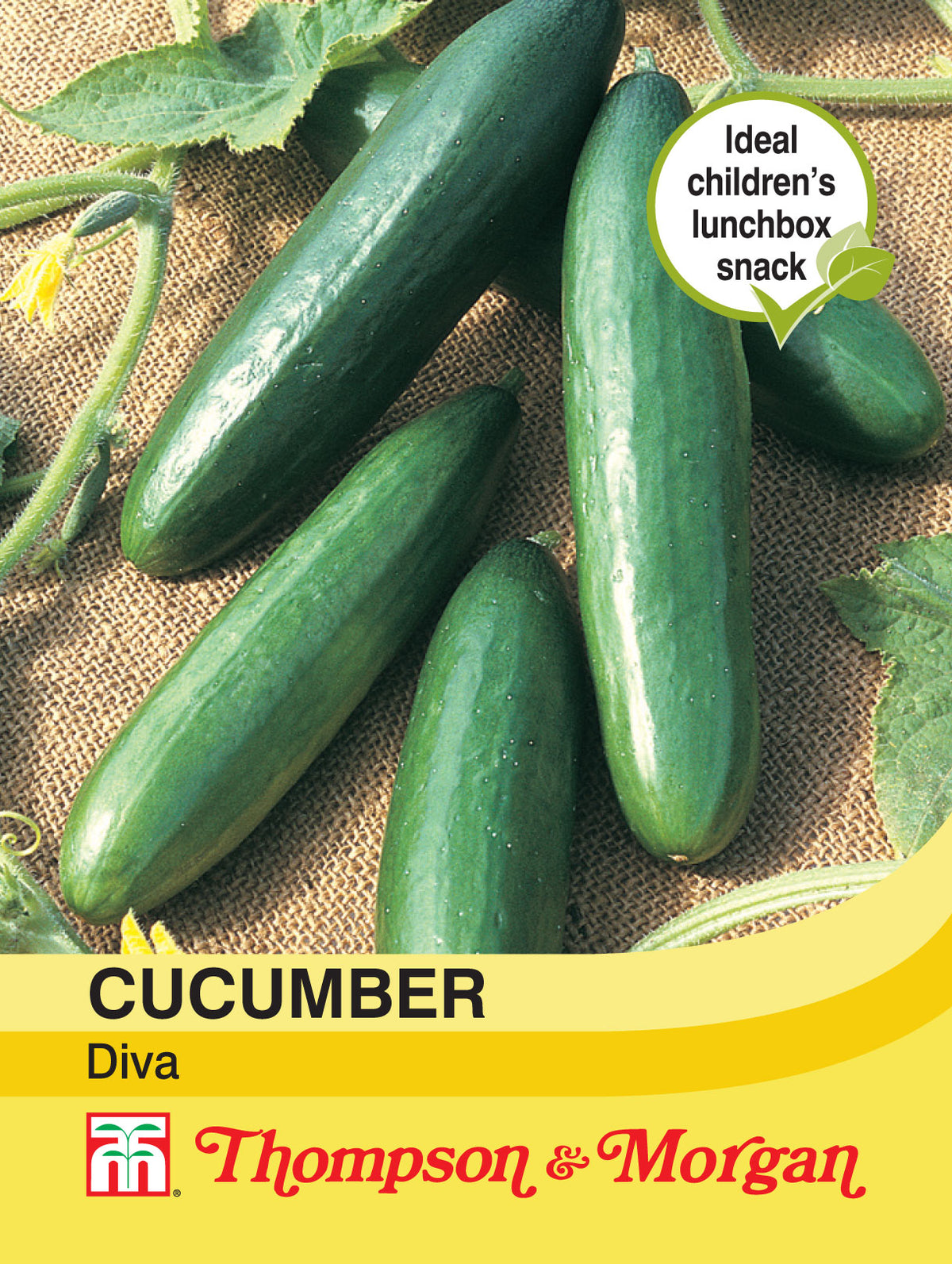 Cucumber Diva- Pack of seeds