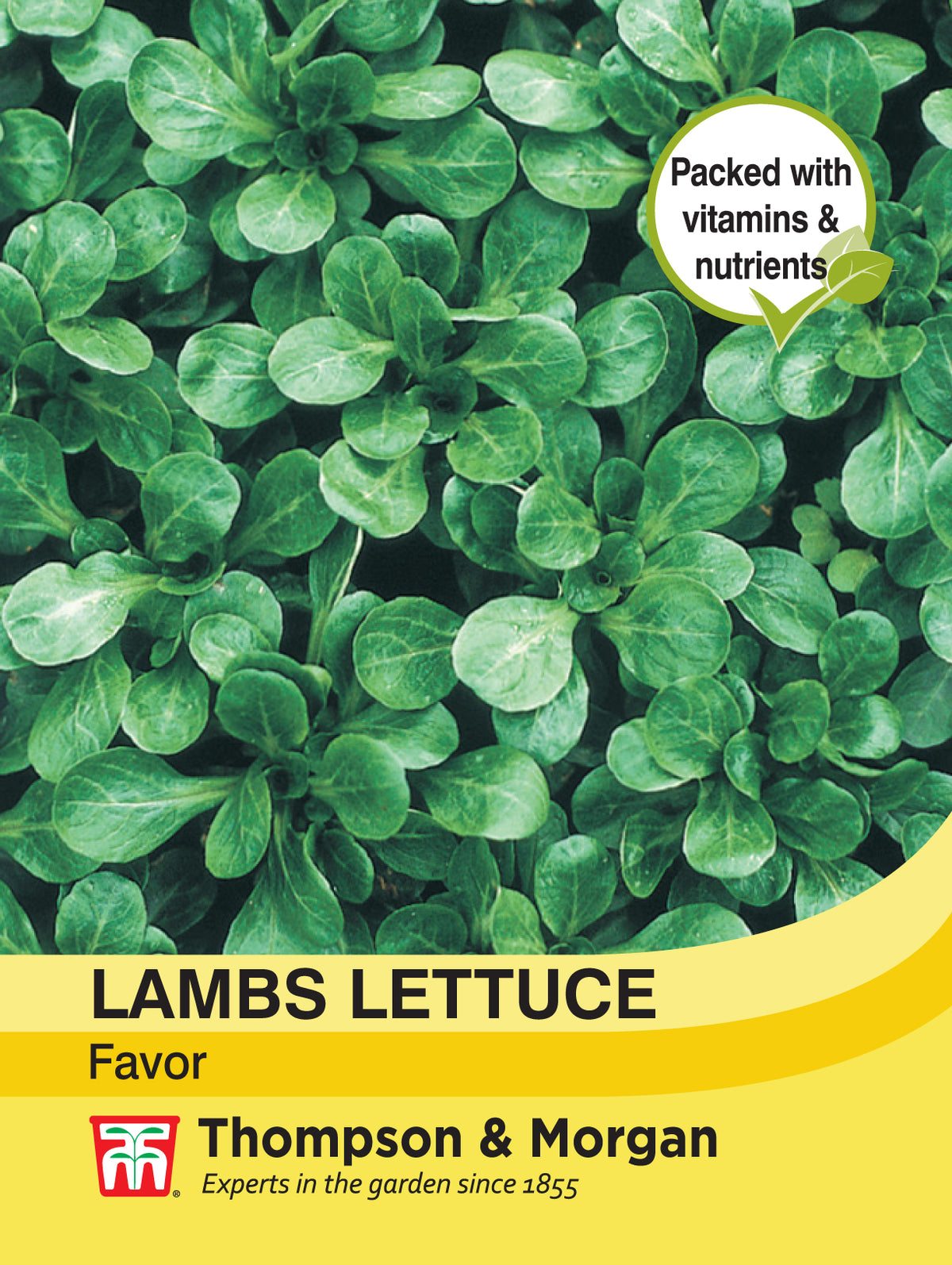 Lambs Lettuce Favor- Pack of seeds