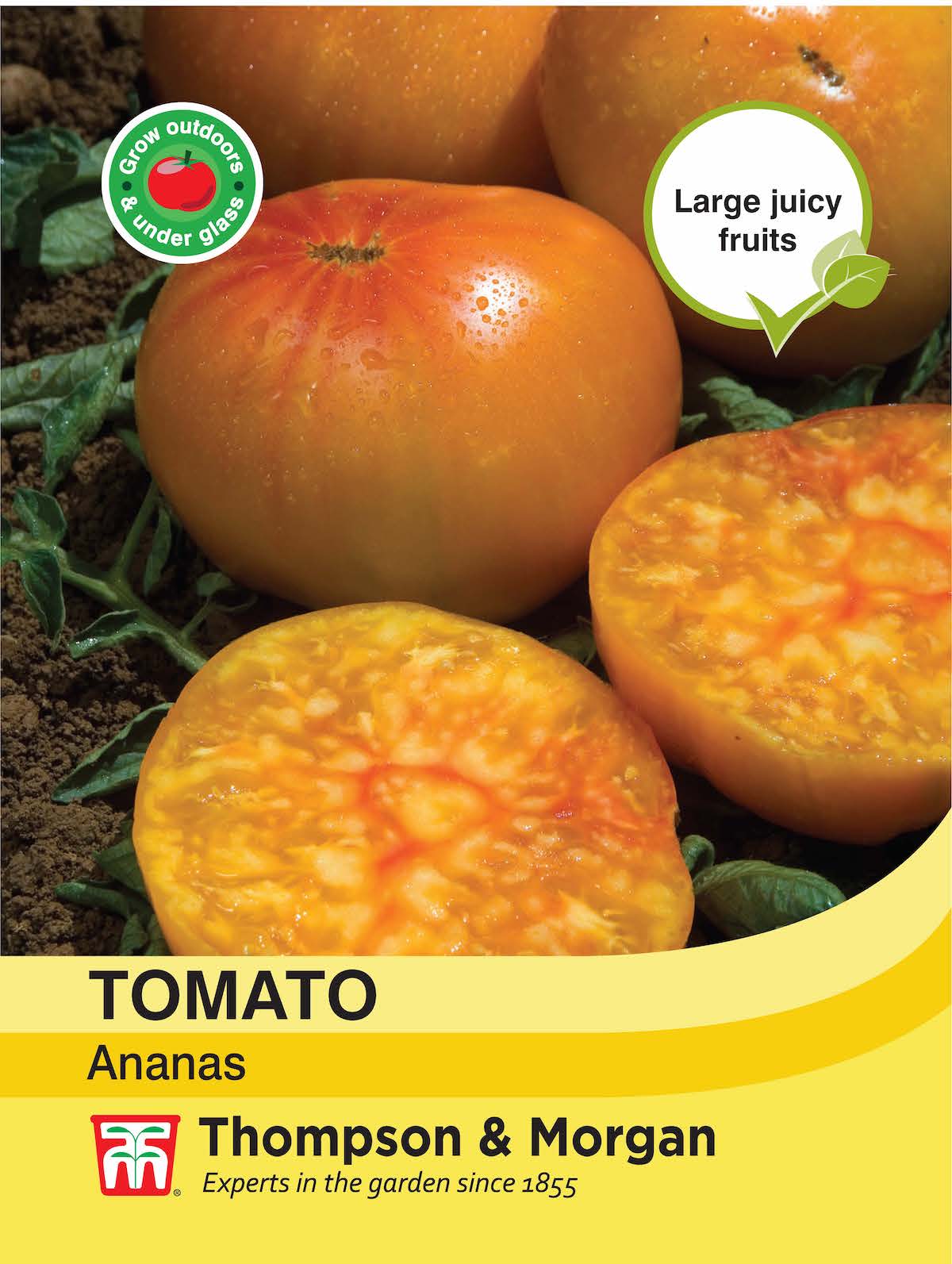 Tomato Ananas - Pack of seeds