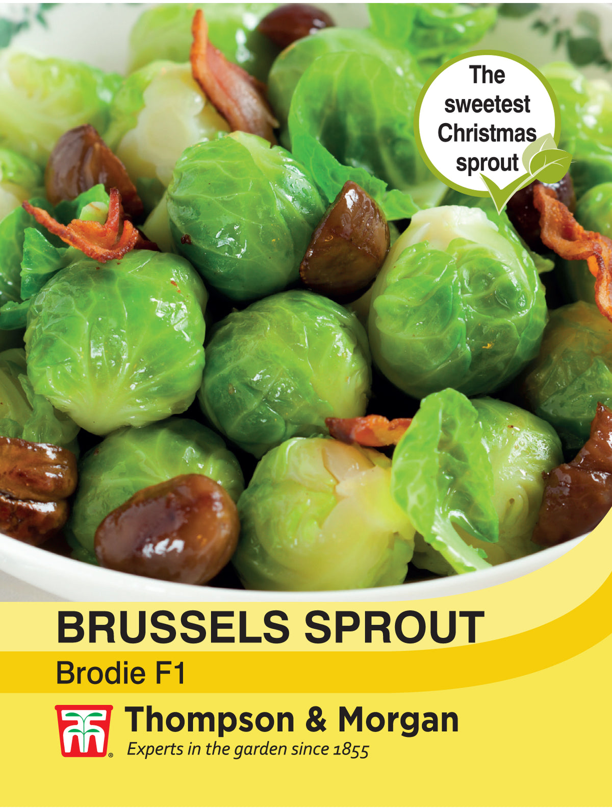 Brussels Sprout Brodie F1 Hybrid- Pack of seeds