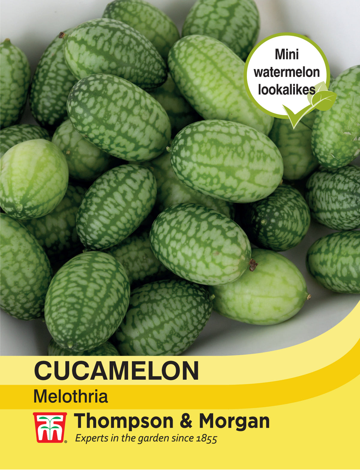 Cucamelon- Pack of seeds