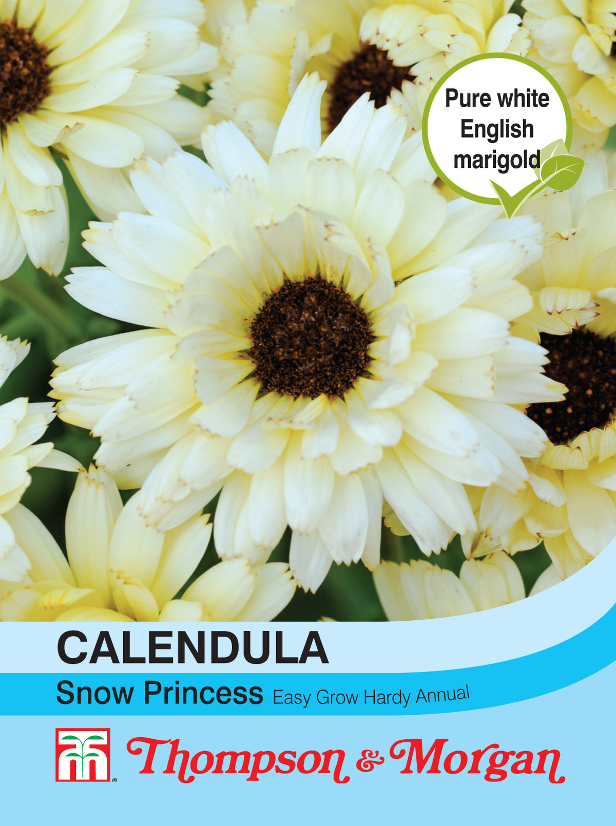 Calendula Snow Princess- Pack of seeds