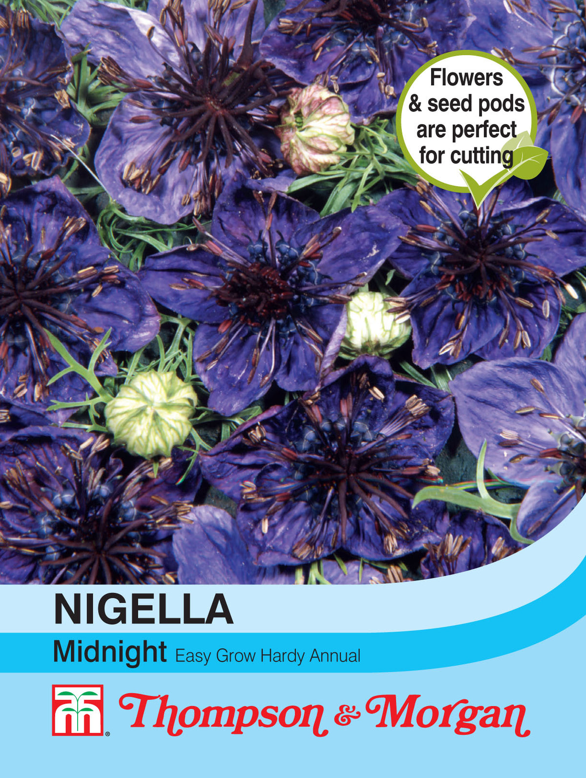 Nigella Midnight - Pack of seeds