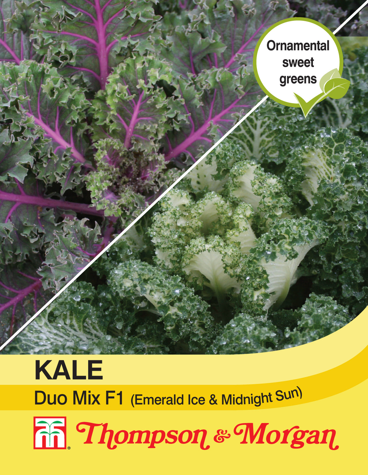 Kale Duo Mix (Emerald Ice & Midnight Sun)- Pack of seeds