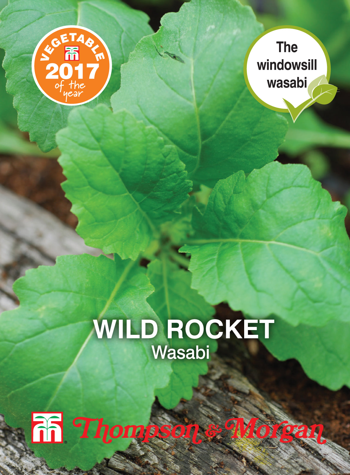 Herb Wild Rocket Wasabi- Pack of seeds