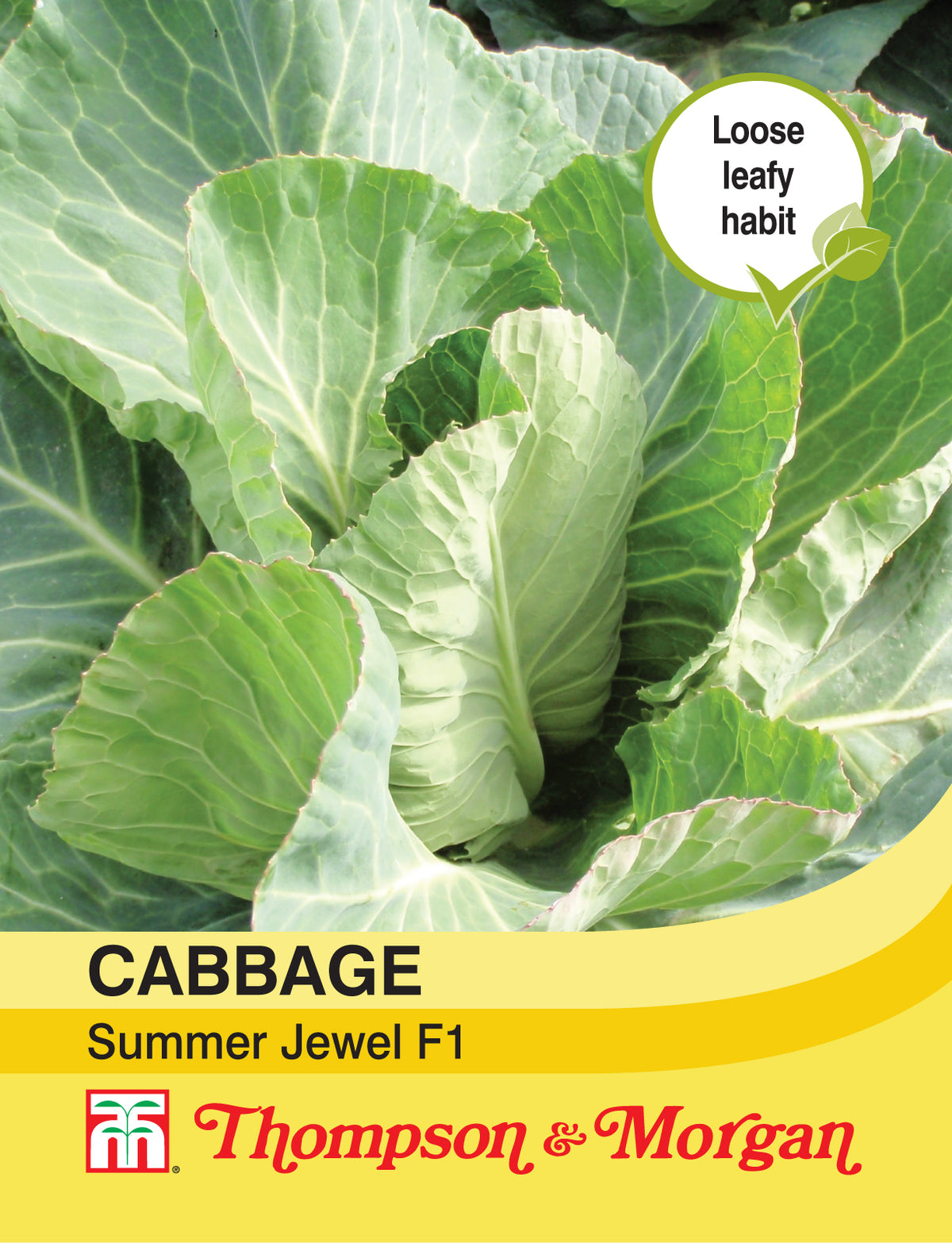 Cabbage Summer Jewel F1 Hybrid- Pack of seeds
