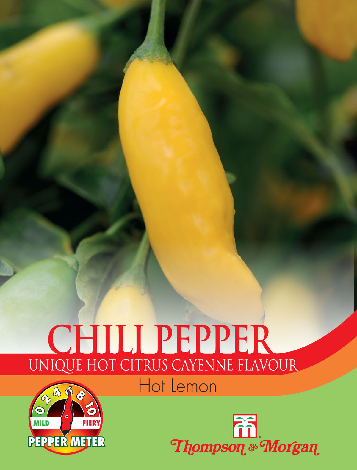 Pepper Chilli Hot Lemon- Pack of seeds