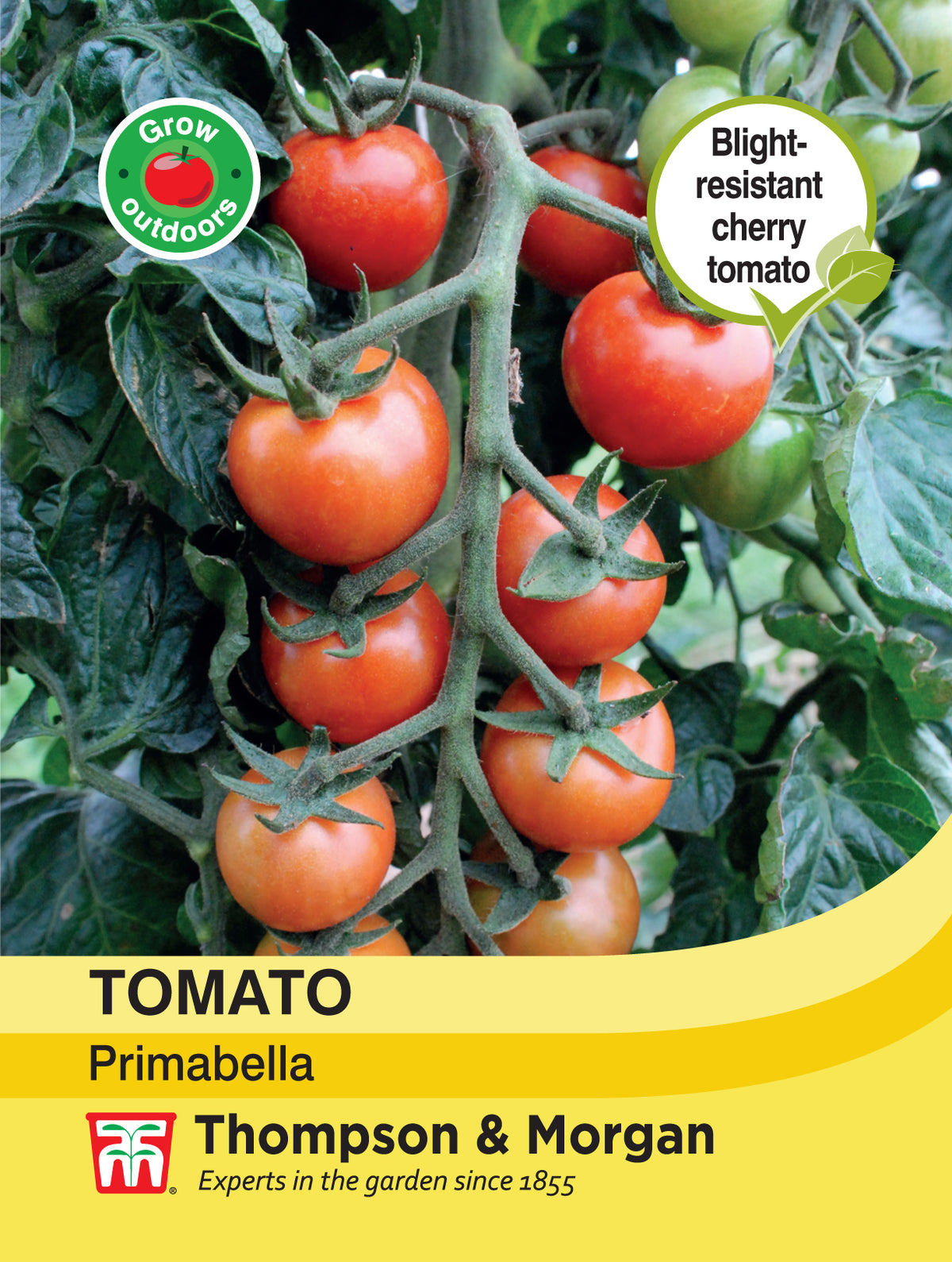 Tomato Primabella- Pack of seeds