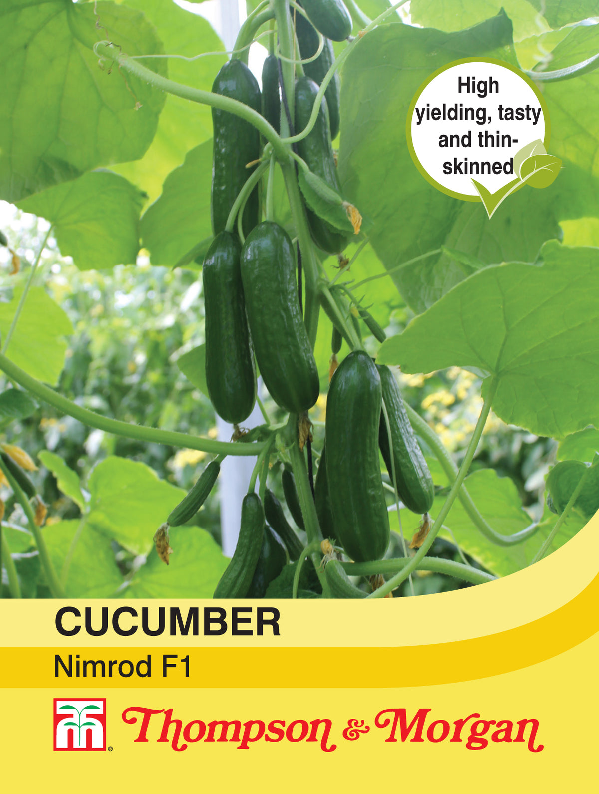 Cucumber Nimrod F1 Hybrid- Pack of seeds