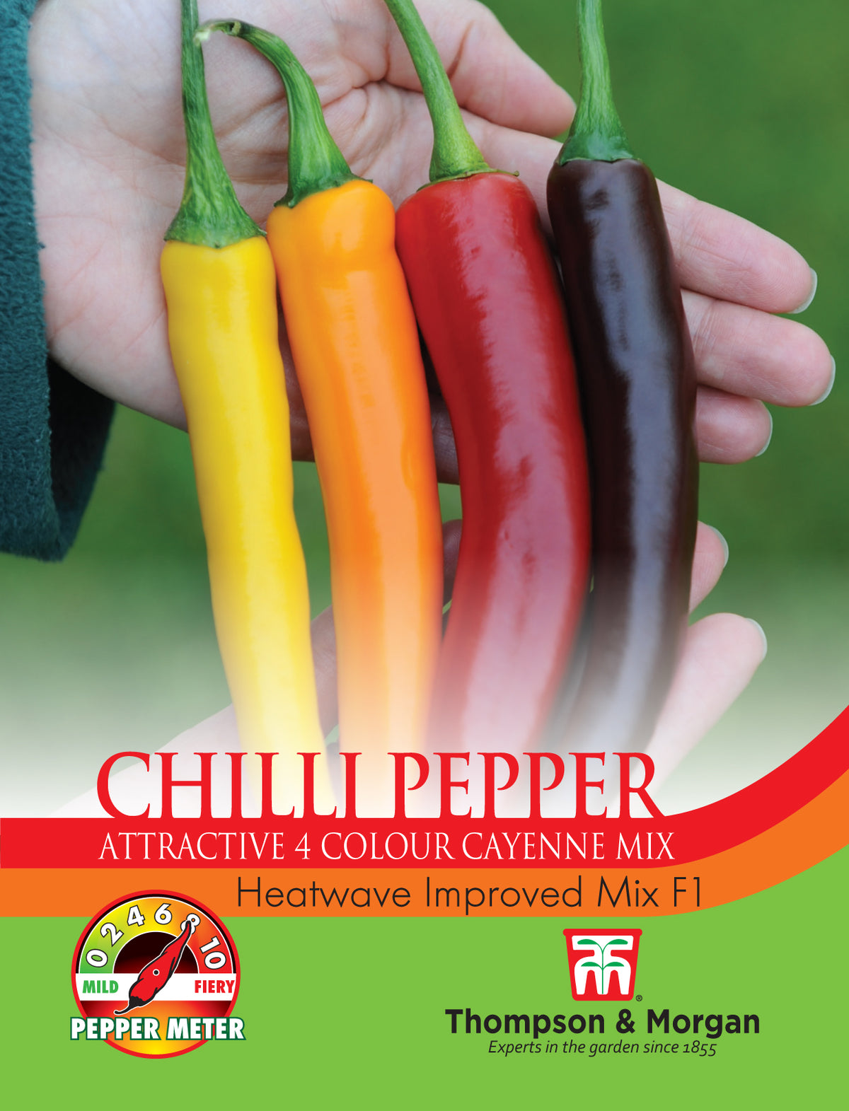 Pepper Chilli Heatwave Improved Mix F1 Hybrid- Pack of seeds