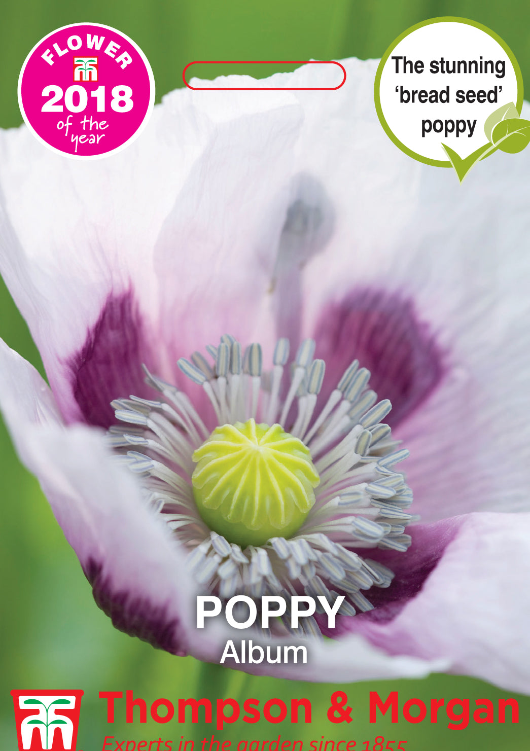 Poppy Album- Pack of seeds