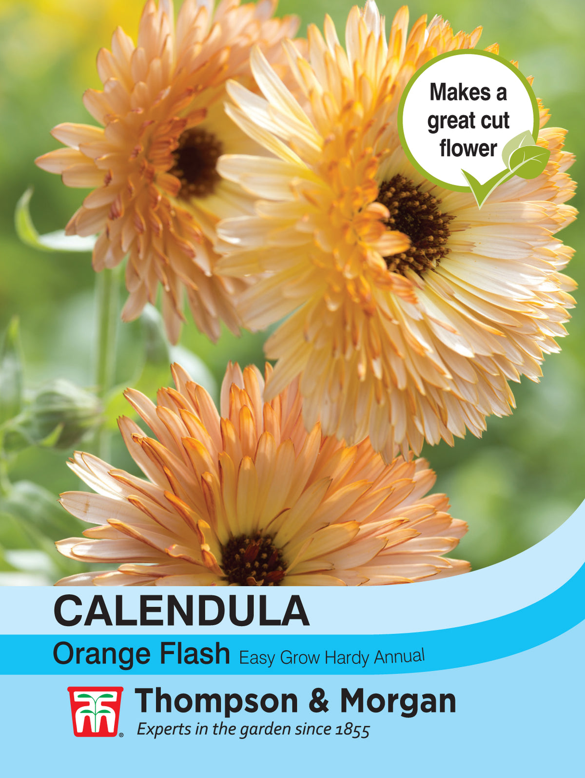 Calendula Orange Flash - Pack of seeds