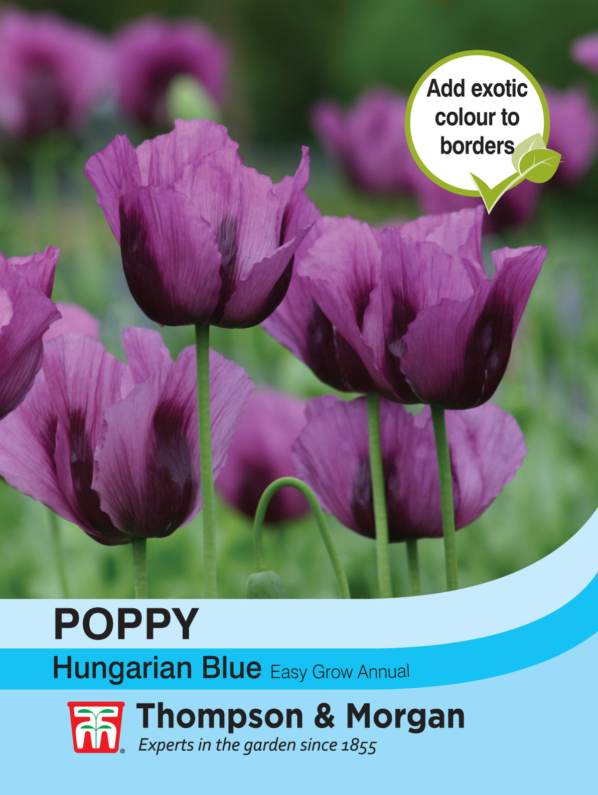 Poppy Hungarian Blue- Pack of seeds