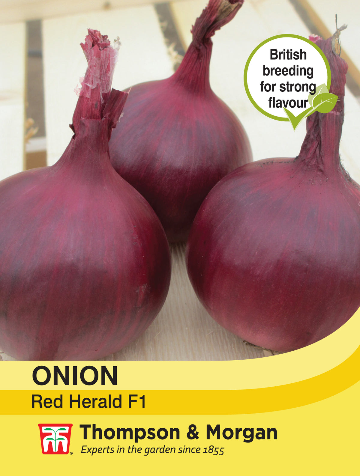 Onion Red Herald- Pack of seeds
