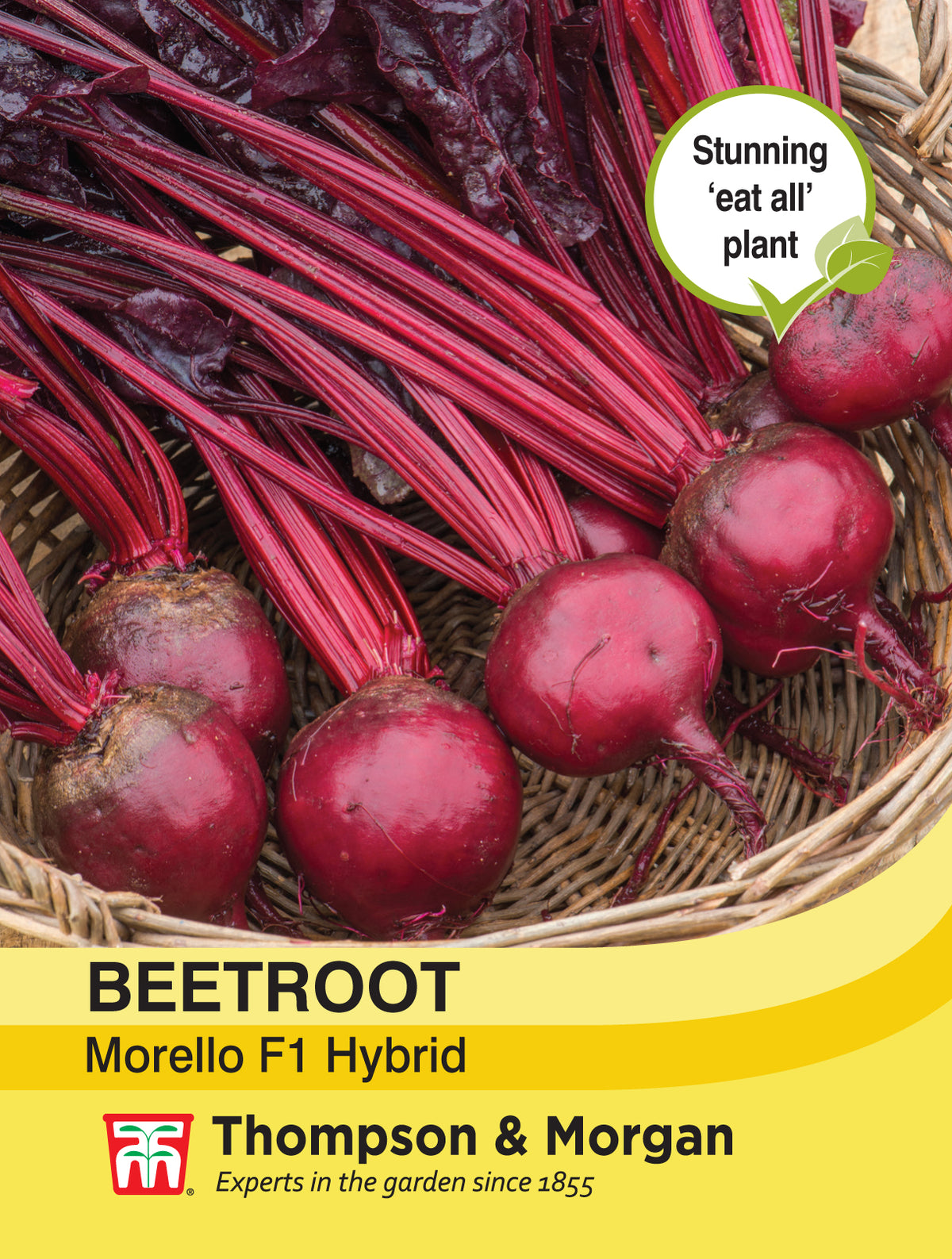 Beet Morello- Pack of seeds