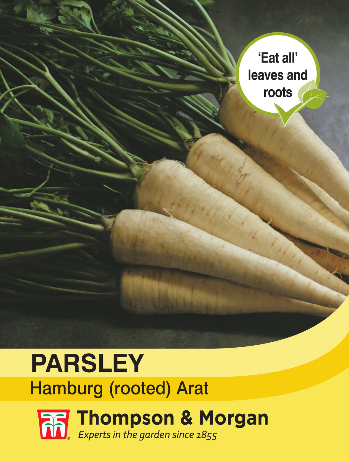 Parsley Hamburg arat- Pack of seeds