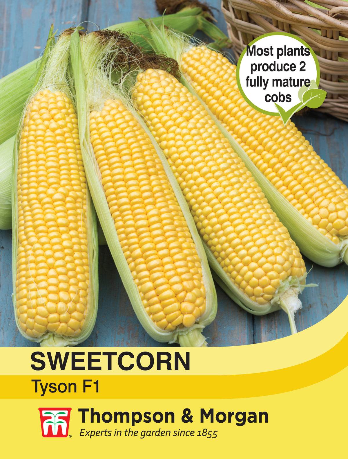 Sweetcorn Tyson - Pack of seeds