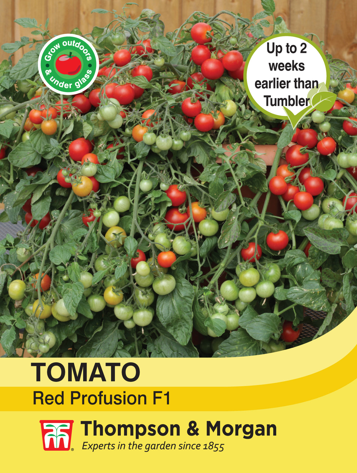 Tomato Red Profusion- Pack of seeds