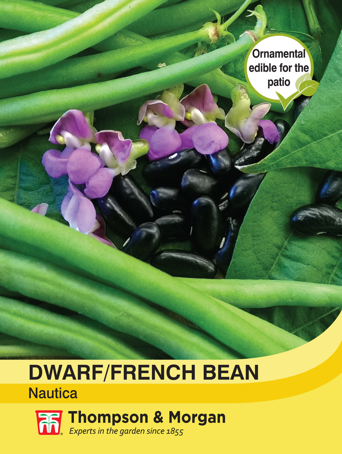 Dwarf Bean Nautica- Pack of seeds