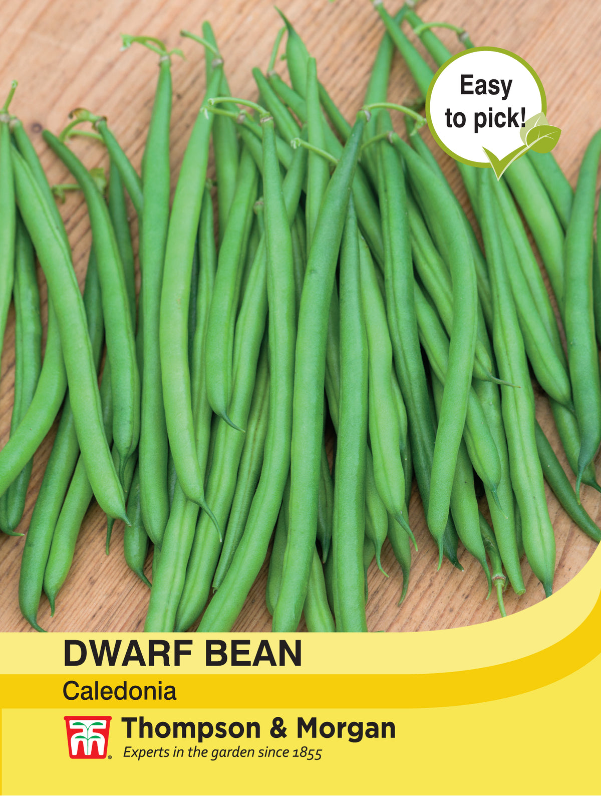 Dwarf Bean Caledonia- Pack of seeds