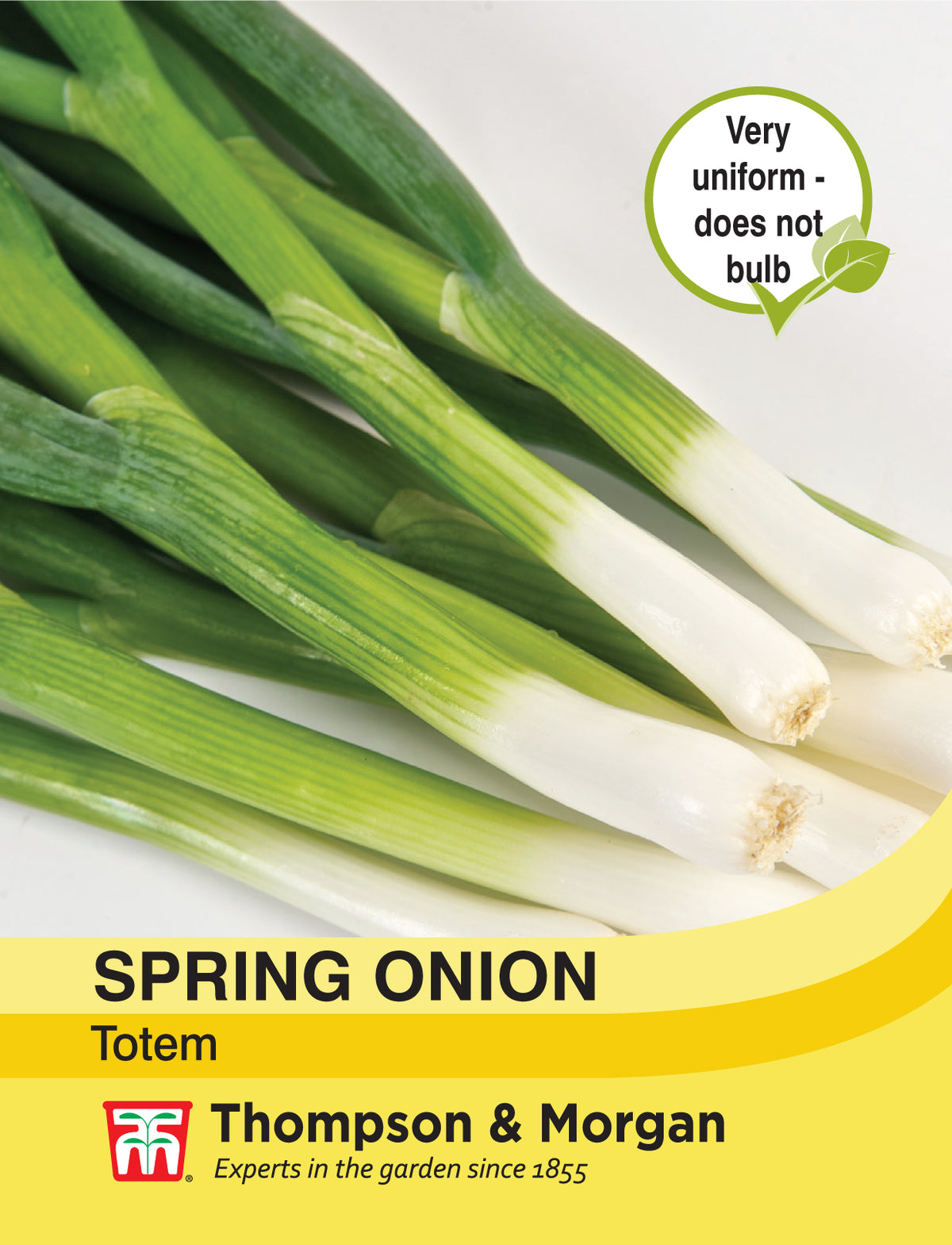 Spring Onion Totem- Pack of seeds