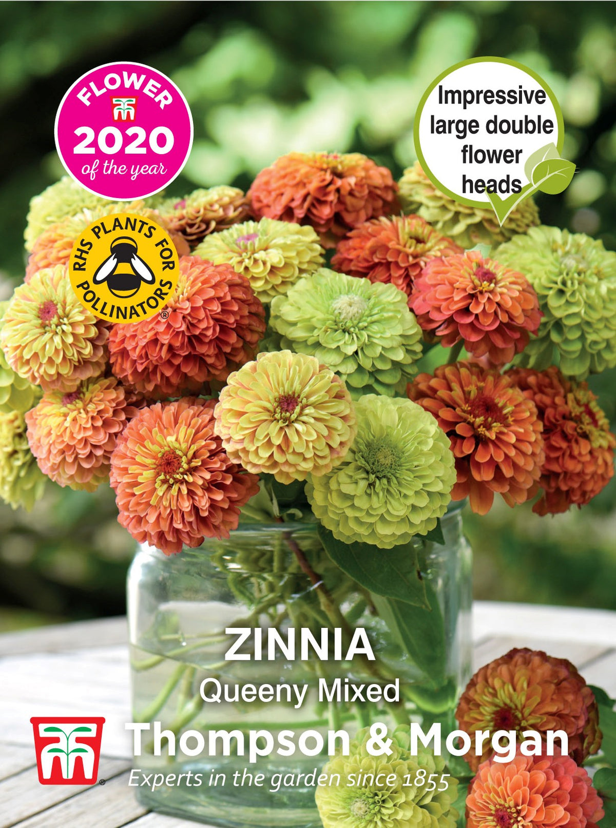 Zinnia Queeny Mixed- Pack of seeds