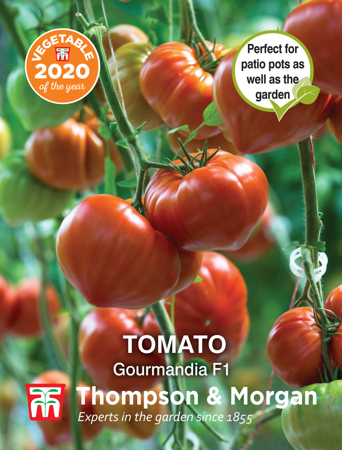 Tomato Gourmandia F1 Hybrid - Pack of seeds