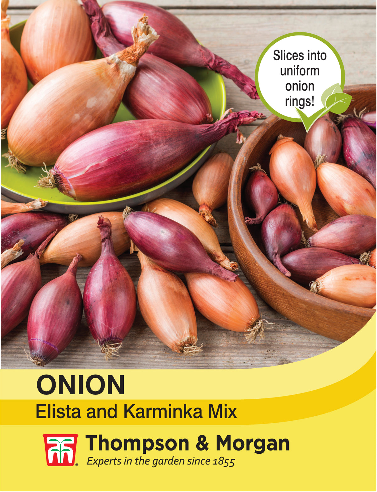 Onion Elisa and Karminka Mix- Pack of seeds