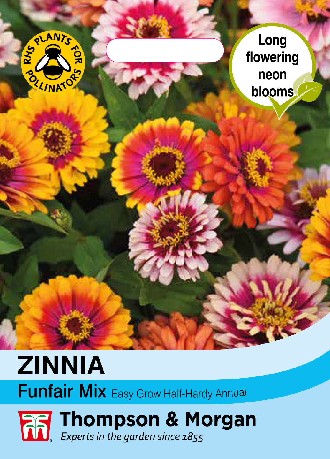 Zinnia Funfair Mix- Pack of seeds