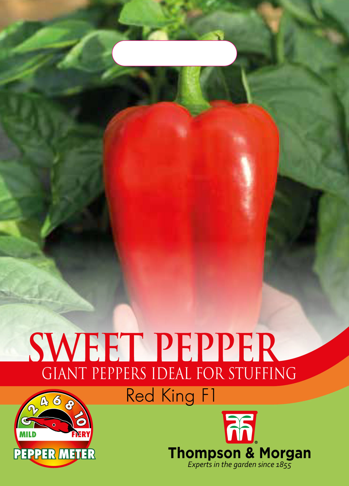 Pepper Red King F1- Pack of seeds