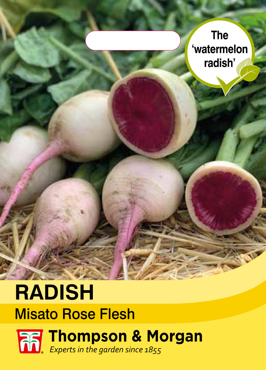Radish Misato Rose Flesh- Pack of seeds
