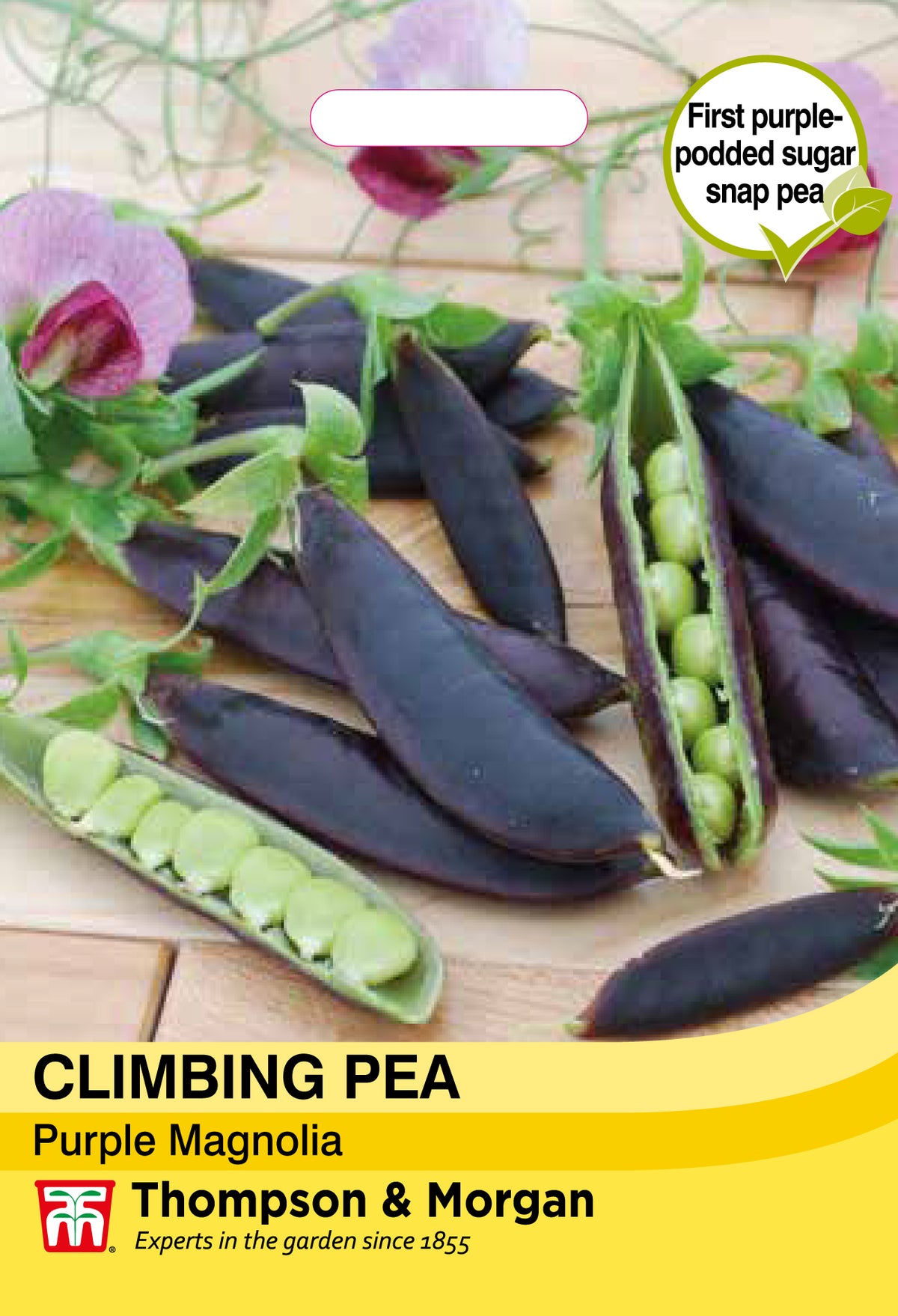 Climbing Pea Purple Magnolia- Pack of seeds