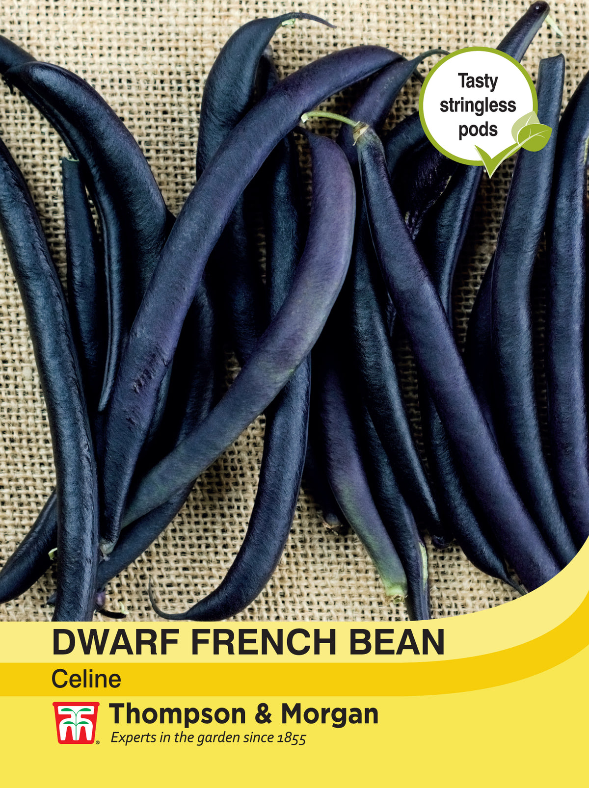Dwarf French Bean Celine- Pack of seeds