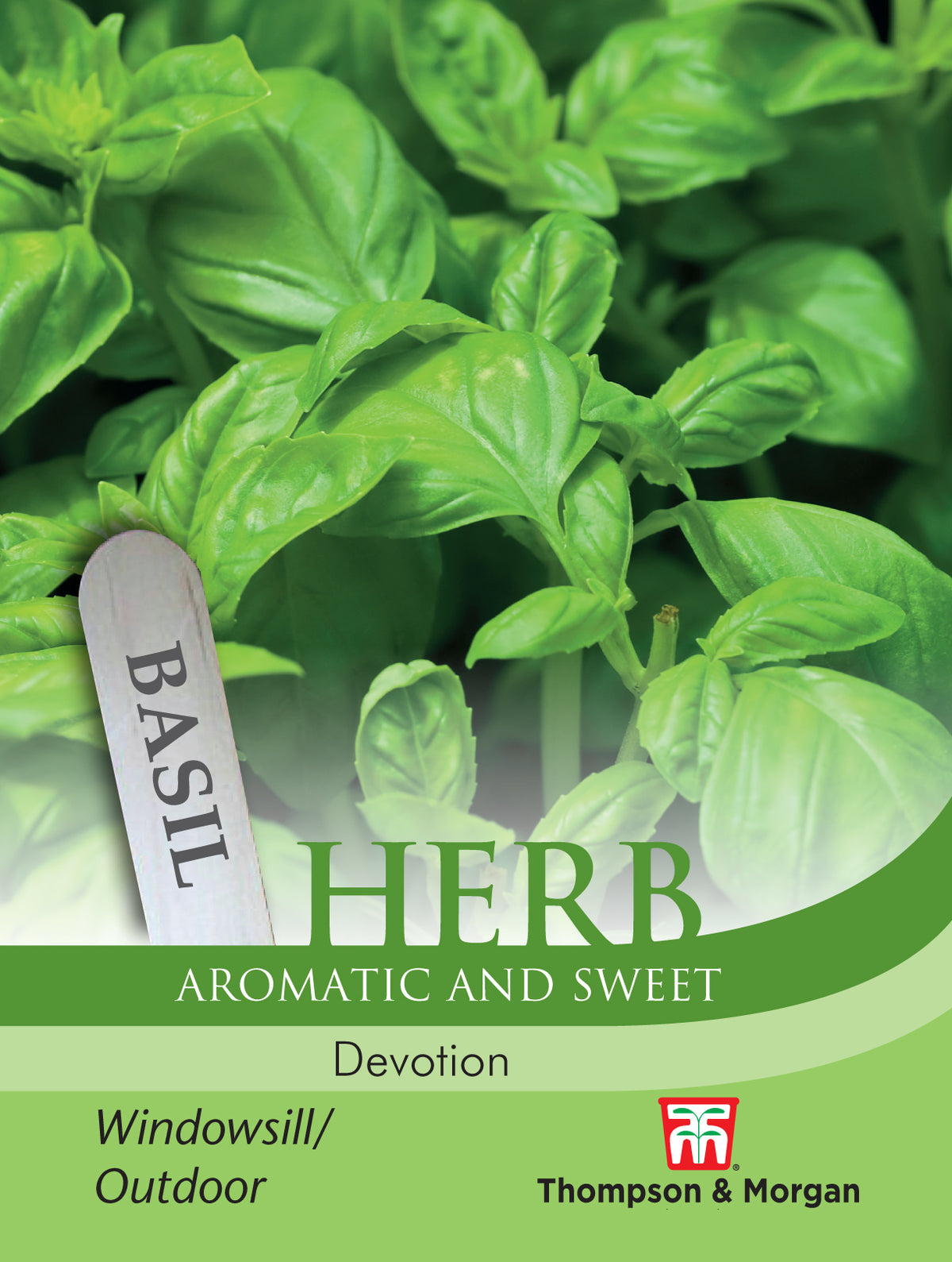 Herb Basil Devotion- Pack of seeds