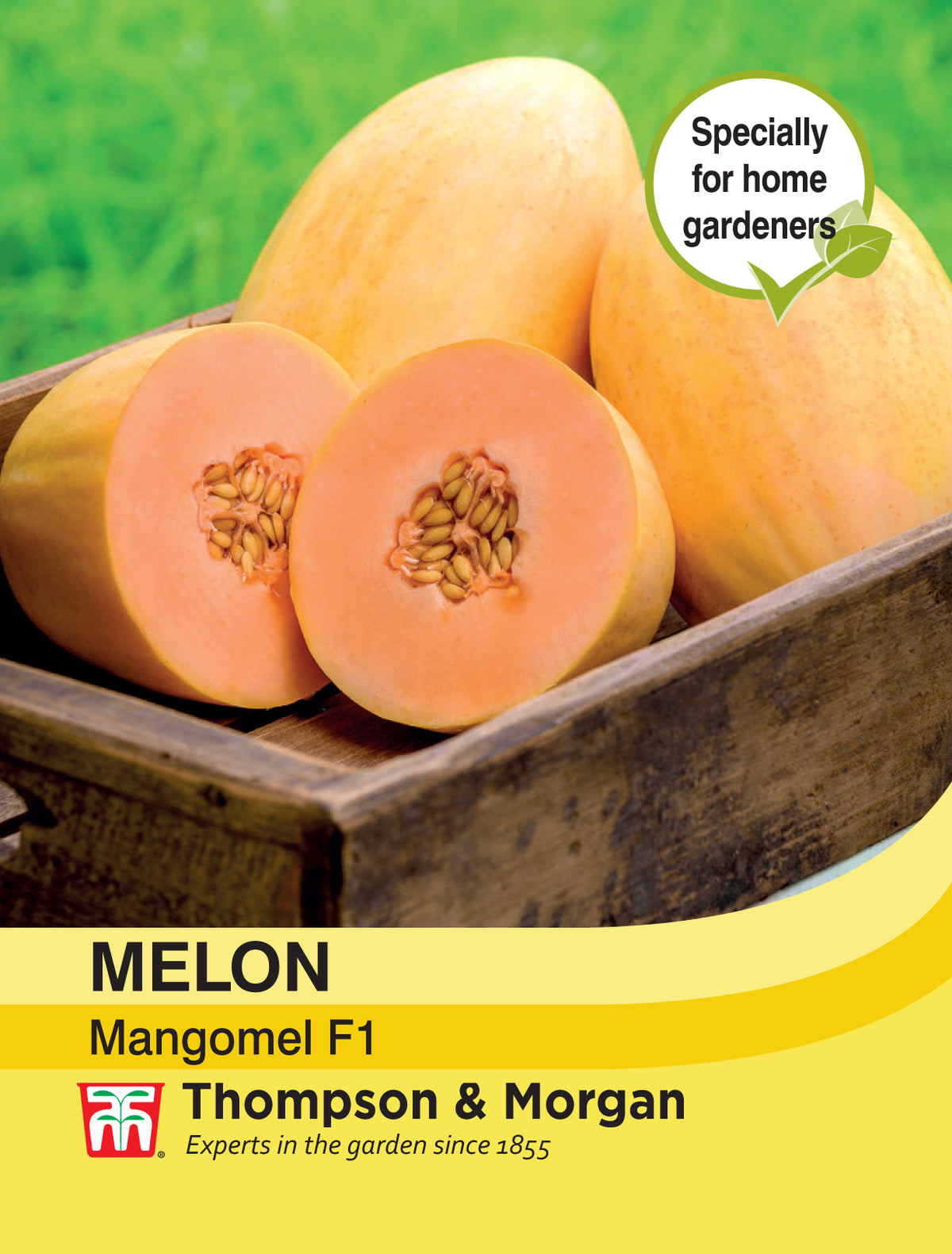 Melon Mangomel F1- Pack of seeds