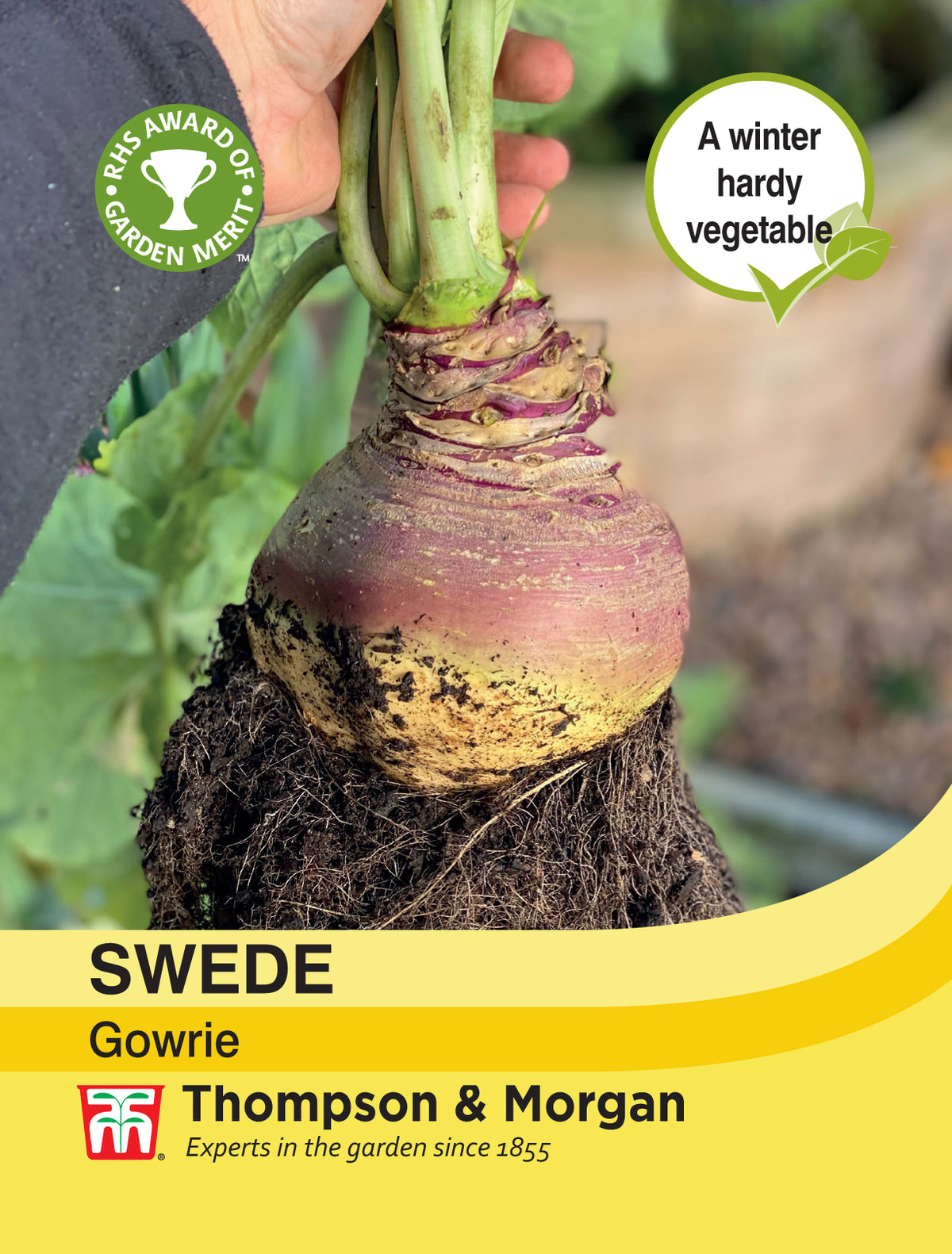 Swede Gowrie - Pack of seeds