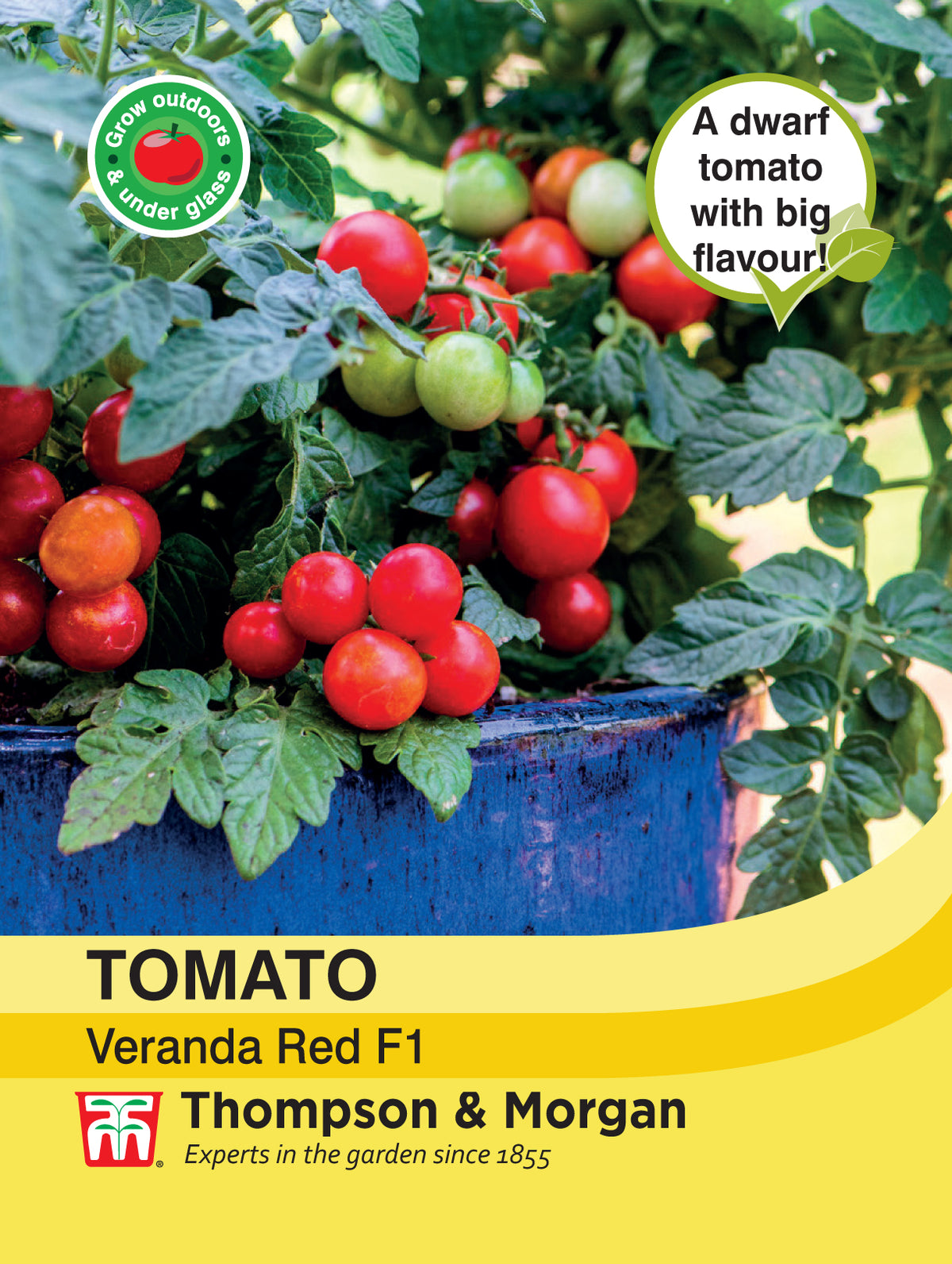 Tomato Veranda Red F1- Pack of seeds