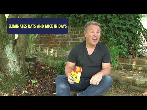 The Big Cheese All Weather Block Bait - 15 x 10g