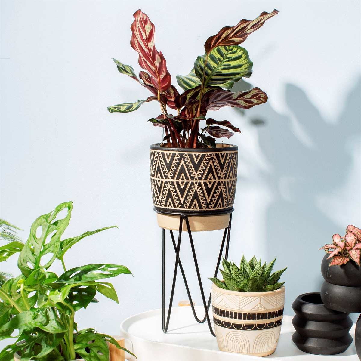 Nomad Modern Planter with Wire Stand
